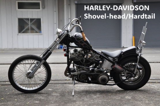 DSC_0006 - コピー (67)