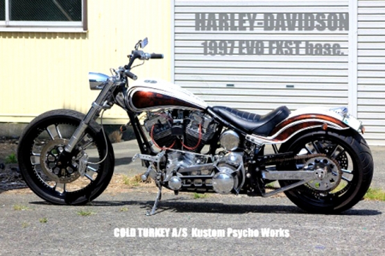 '97FXST250wide-02