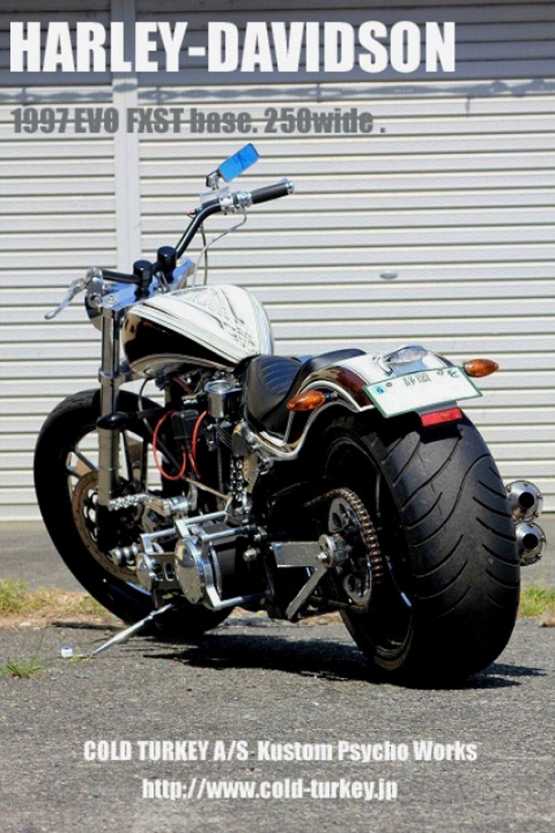 '97FXST250wide-08
