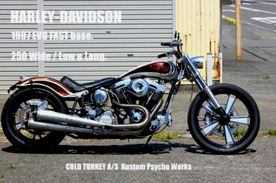 '97FXST250wide-03