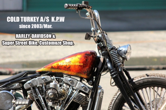 '84FLH,Softail-04