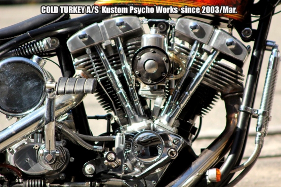 '84FLH,Softail-06