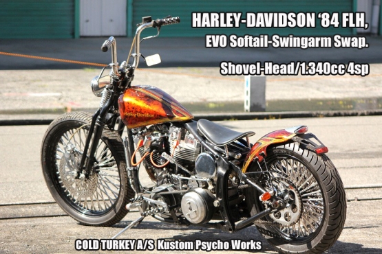 '84FLH,Softail-07