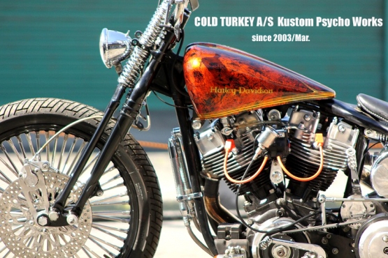 '84FLH,Softail-09